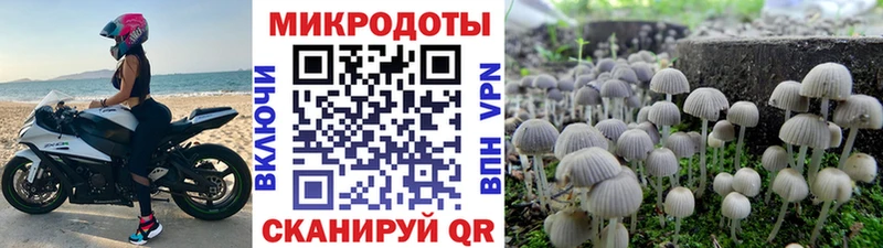 Галлюциногенные грибы прущие грибы  Купить где  Высоцк 